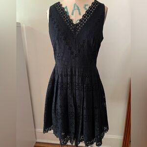 Ann Taylor Loft cotton lace dress